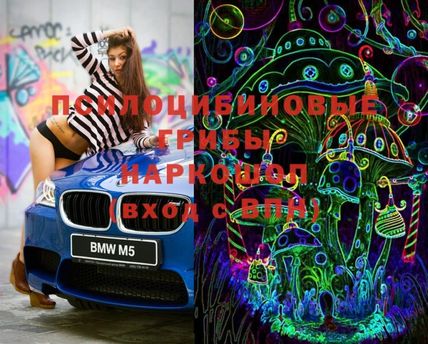 амф Алексин